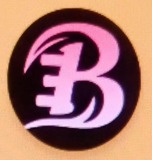 Banerjee Exim